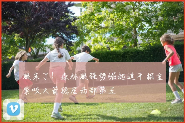 狼来了！森林狼强势崛起追平掘金紧咬火箭稳居西部第五