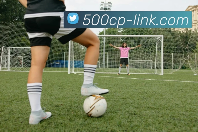 500彩票网发展历程